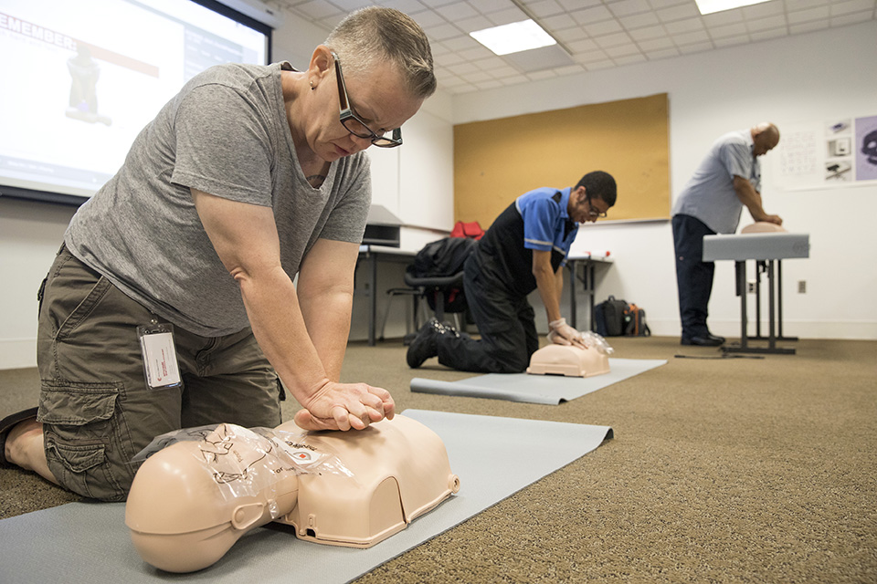 person gives cpr to training dummy