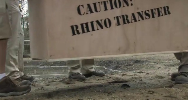 Fine Arts, close up image of bottom of wooden crate being carried low to the ground, crate reads "Caution, Rhino Transfer". Three pairs of feet in khaki pants are visible.