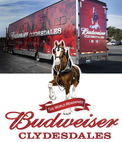 Budweiser beer red truck and logo with a horse