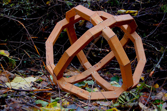 Fine Arts, Wooden geometric sphere constructed from wood lying in bed of grass, twigs, and leaves 