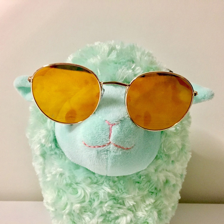 lamb with sunglasses