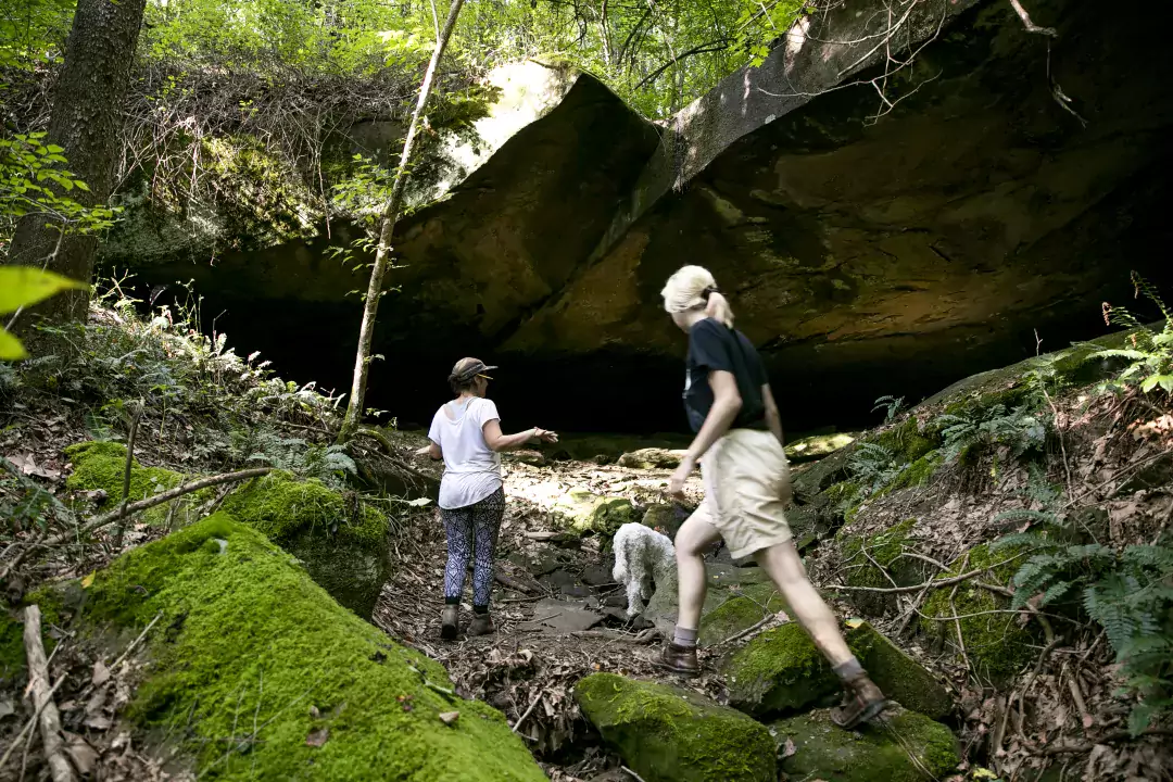 people hiking in nature