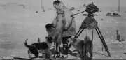 Black and white photo of man interacting with dogs