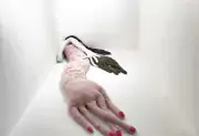 Giant fabric, stuffed arms lying in gallery space