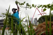 man gardens in front of art sign