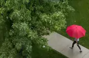 person with red umbrella