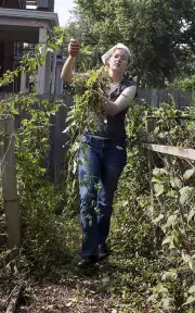 student cleans up vines