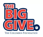 the big give logo