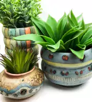 planter collection