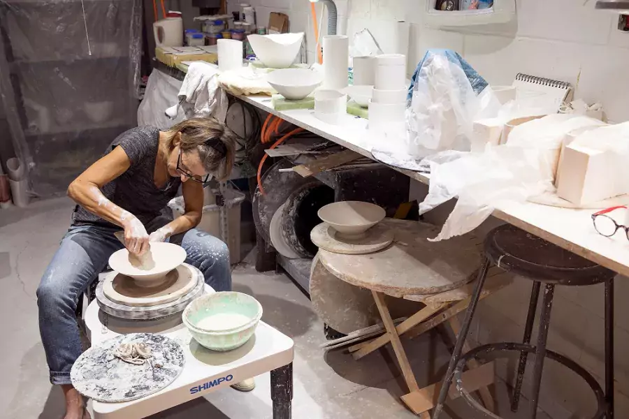 carol snyder working