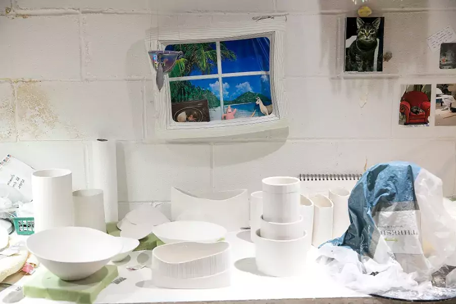 carol snyder work