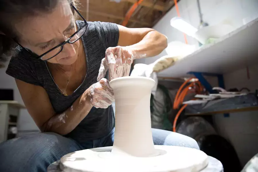 carol snyder working
