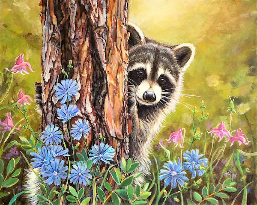 linda bittner work raccoon
